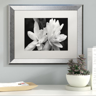 Black And White Wall Art Wayfair R Rose In Black And White Framed Photographic Print