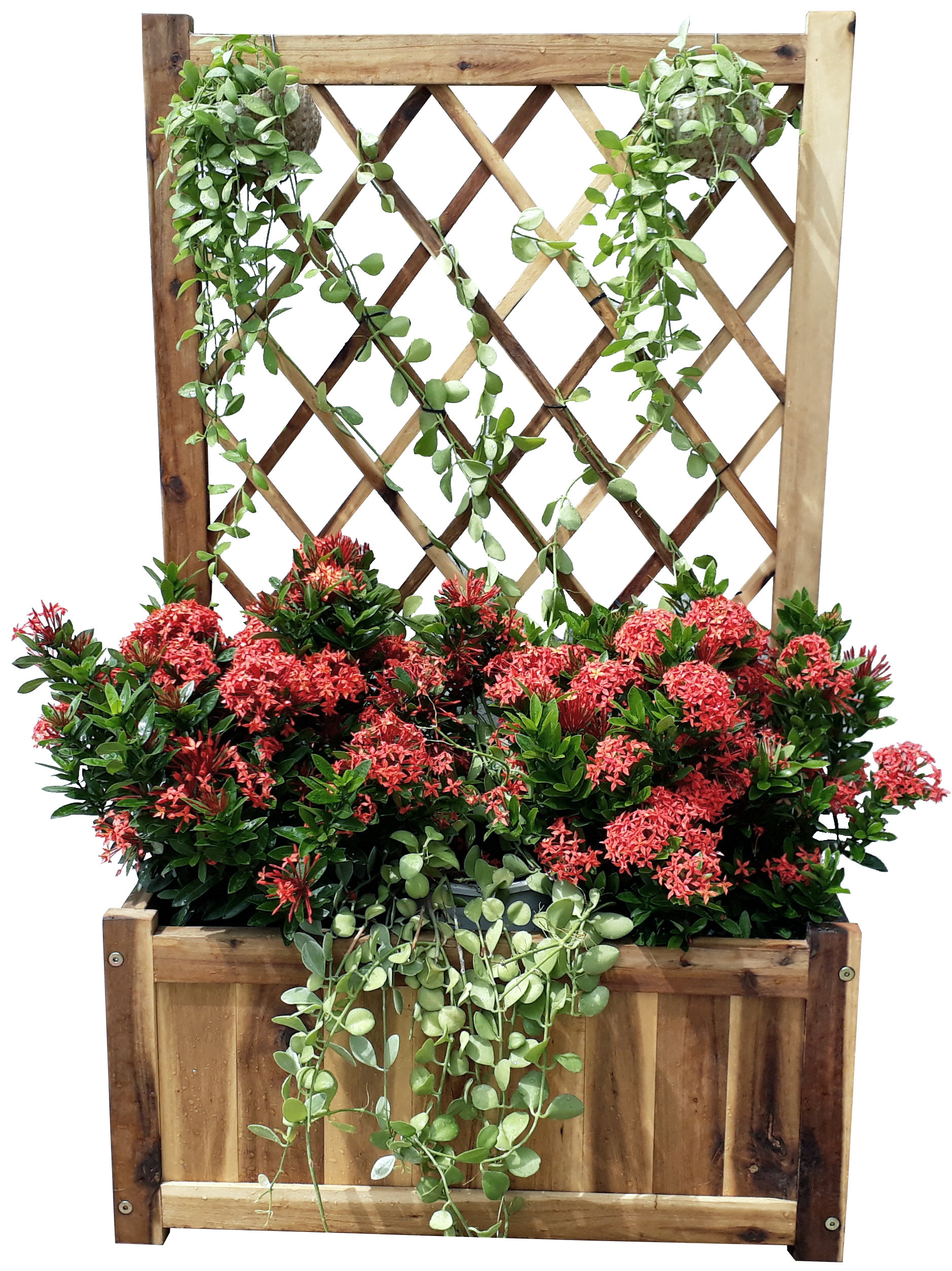 wayfair balcony planters on Gracie Oaks Cornish Wood Elevated Planter With Trellis Wayfair