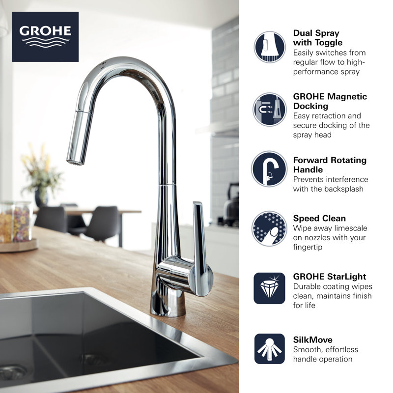 Grohe Ladylux L2 Single Handle Kitchen Faucet Wayfair