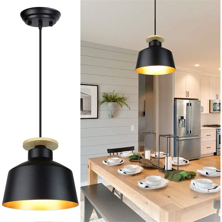 Ceiling Lamp Vintage Industrial Metal Hanging Pendant Light Fixture 