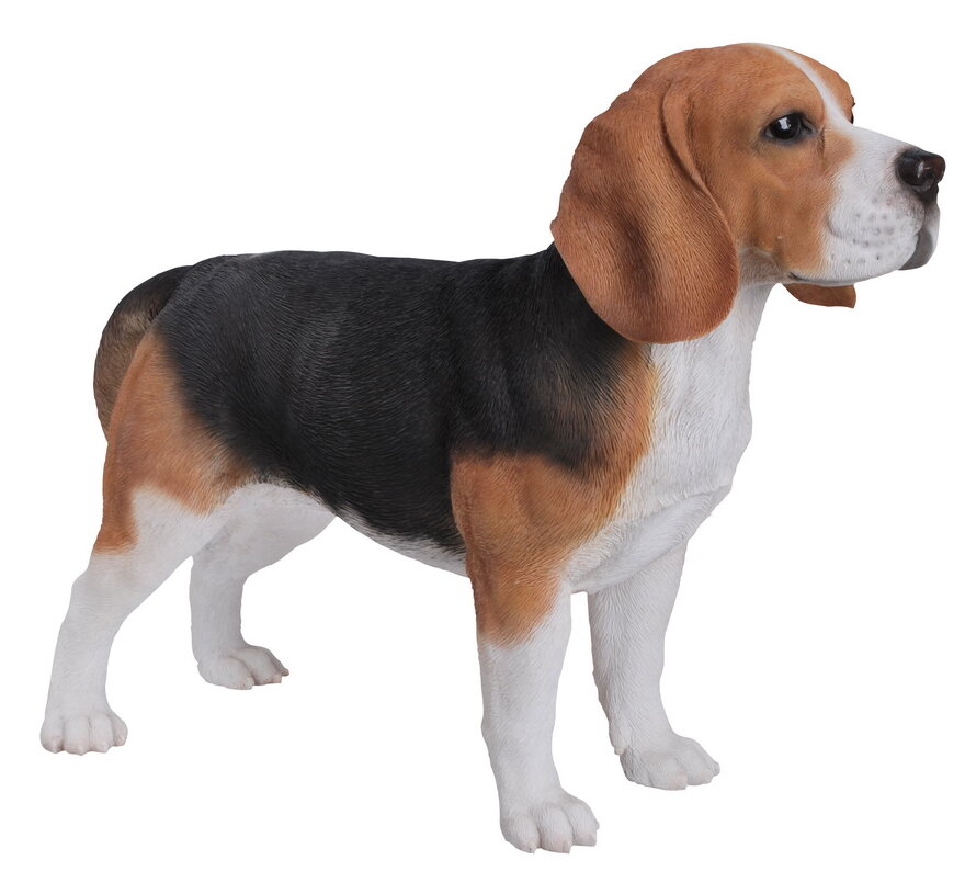 2 3/4"L x 2"W x 2"H Poly Resin- Beagle Puppy Dog Figurine- 