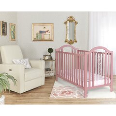 fisher price charlotte rose crib