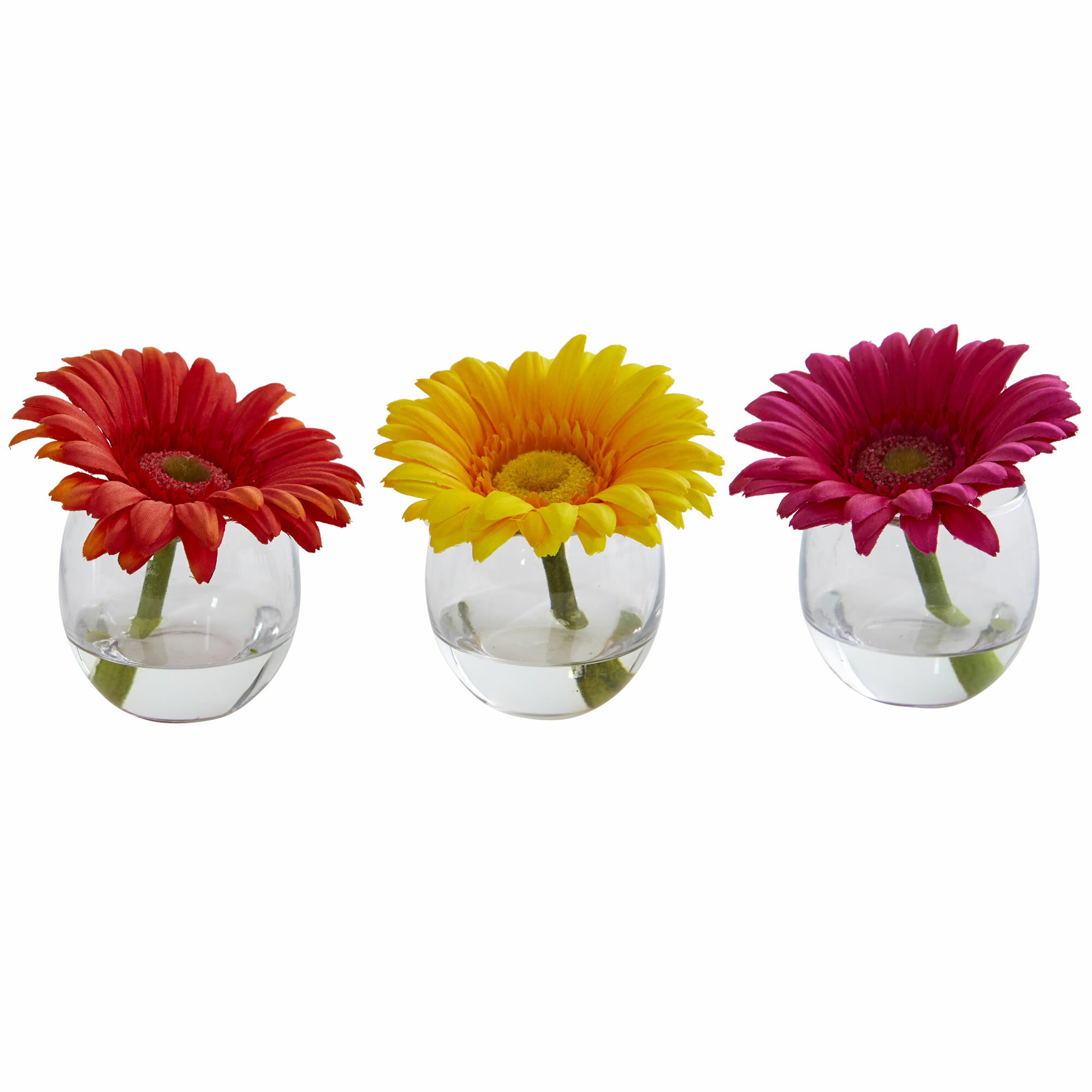 Ebern Designs Gerbera Daisies Floral Arrangements And Centerpieces In Vase Reviews Wayfair