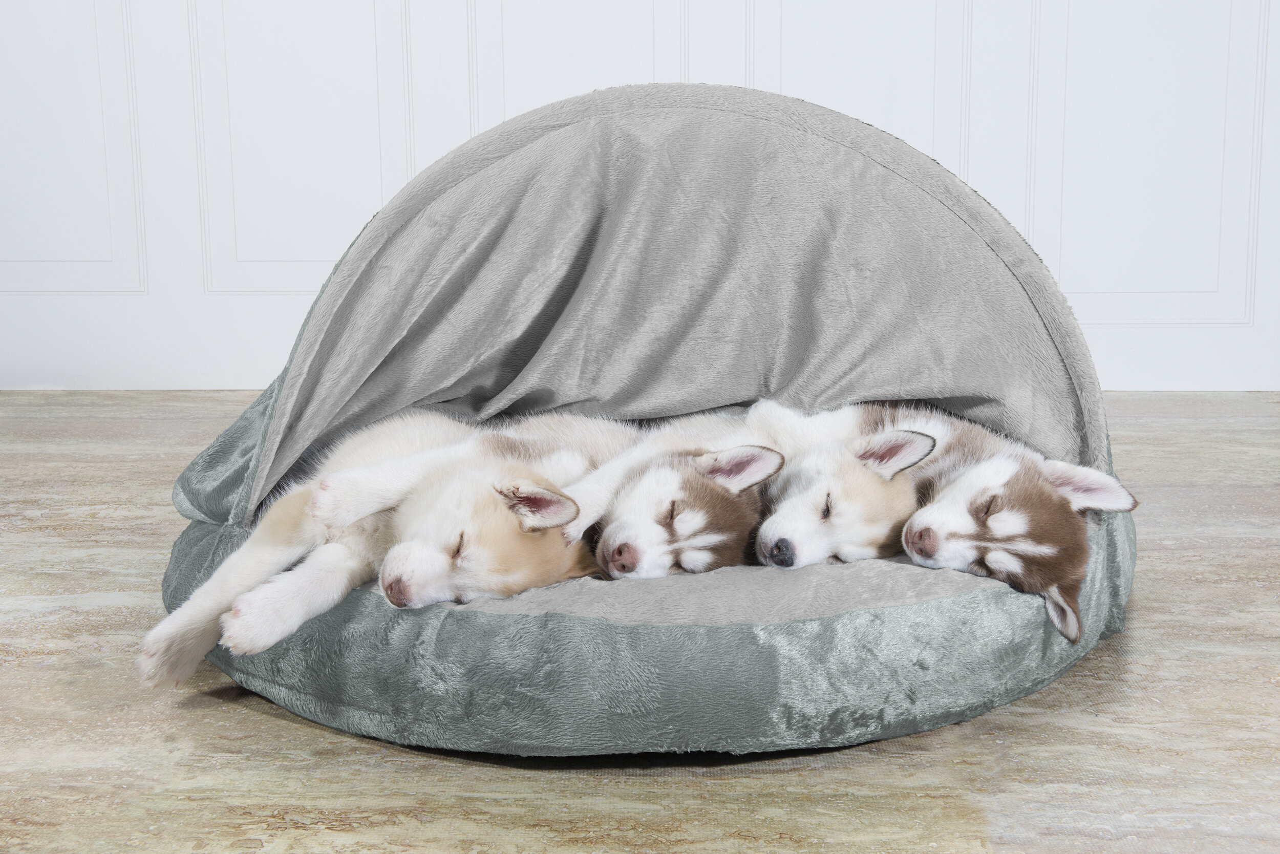 dome pet bed