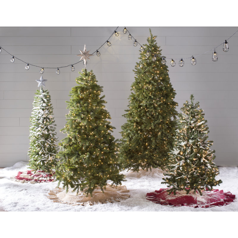 Beachcrest Home Norwood Fir Green Spruce Artificial Christmas Tree