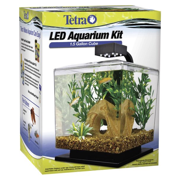 5 gallon aquarium kit