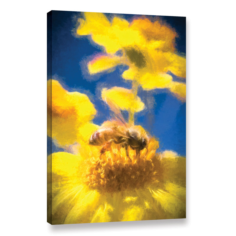 August Grove Honey Bee Mountain Daisy Study 3 Painting Print On