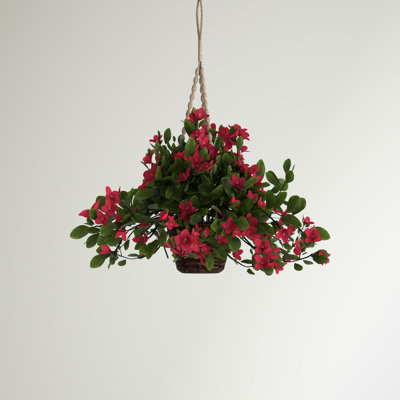 Bougainvillea Hanging Basket UV Resistant (Indoor/Outdoor)