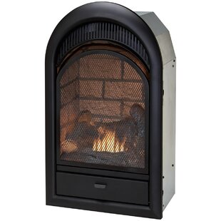 Vent Free Natural Gas/Propane Arched Fireplace Insert By Duluth Forge