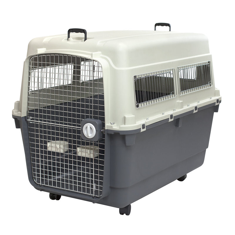plastic dog crates for cars