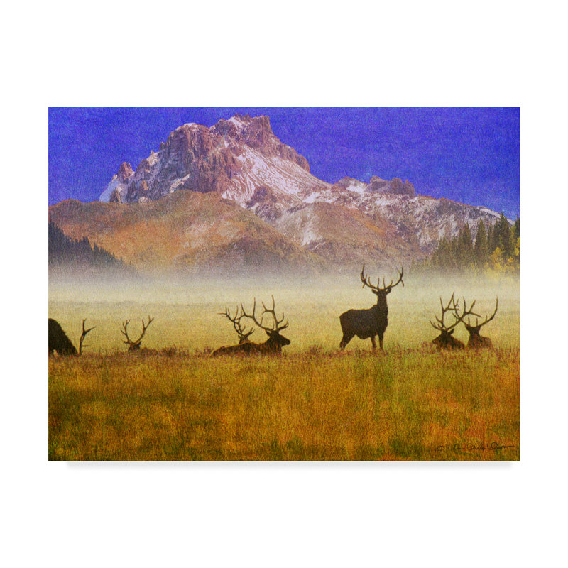 Millwood Pines Bull Elk Portrait Acrylic Painting Print On