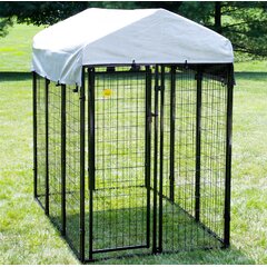 outdoor dog kennel kit