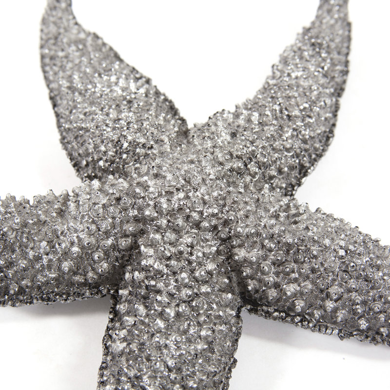 Highland Dunes Starfish Reverse Pewter Wall Decor Reviews Wayfair