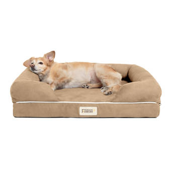 solid memory foam dog bed