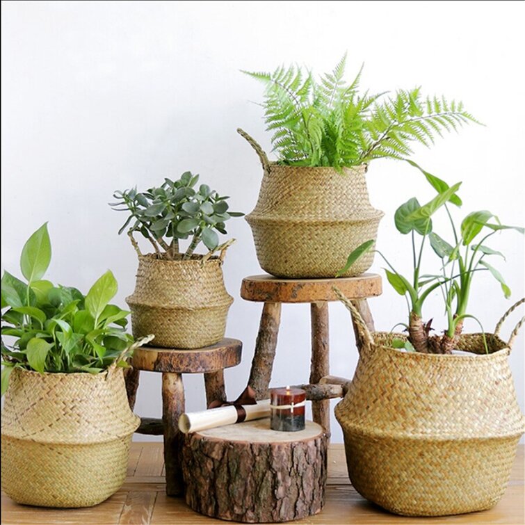 Seagrass Belly Woven Foldable Basket Flower Plants Pots Storage Bag Home Indoor