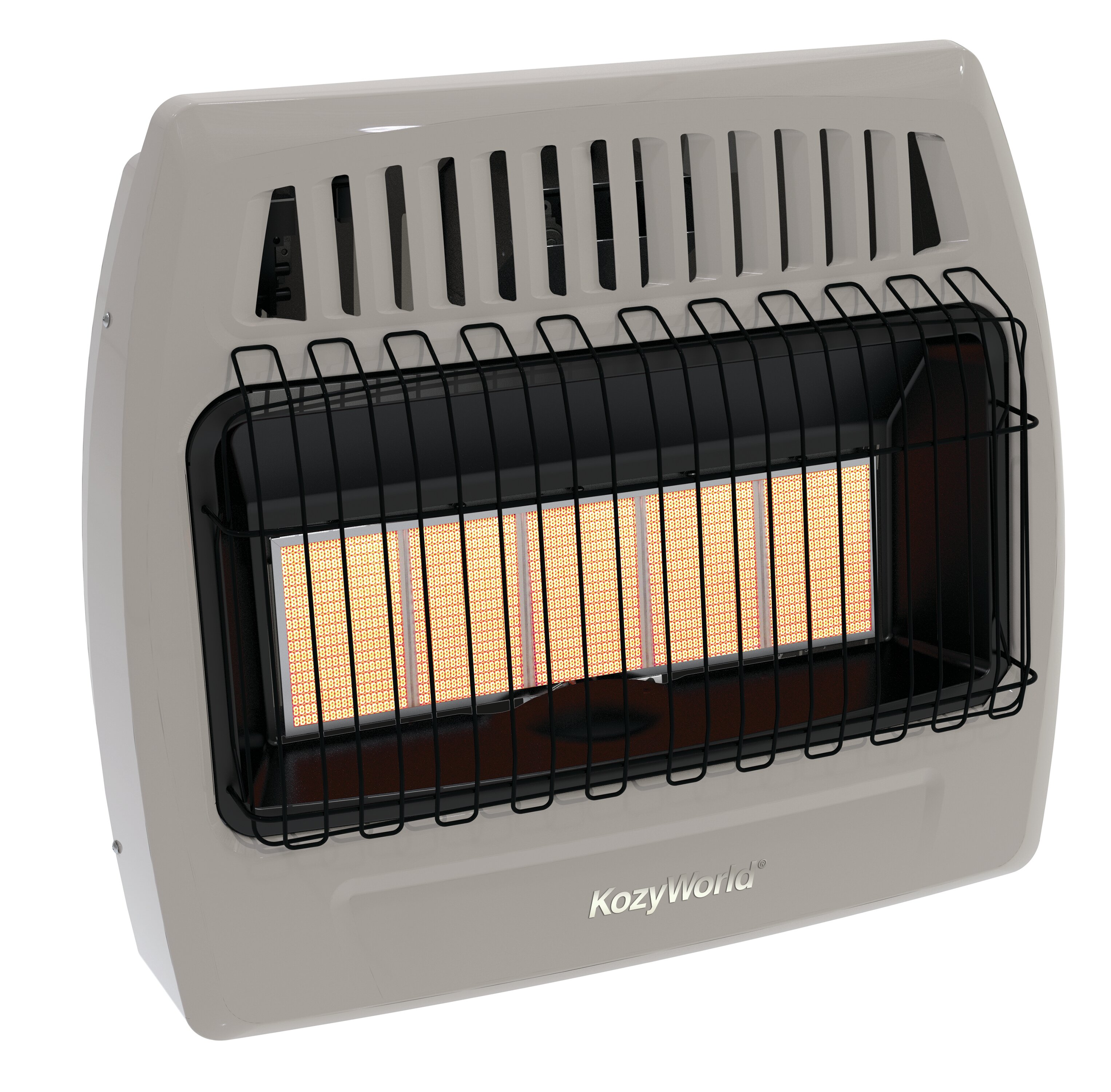 Comfort Glow 30000 BTU Propane Wall Mounted Space Heater with Digital