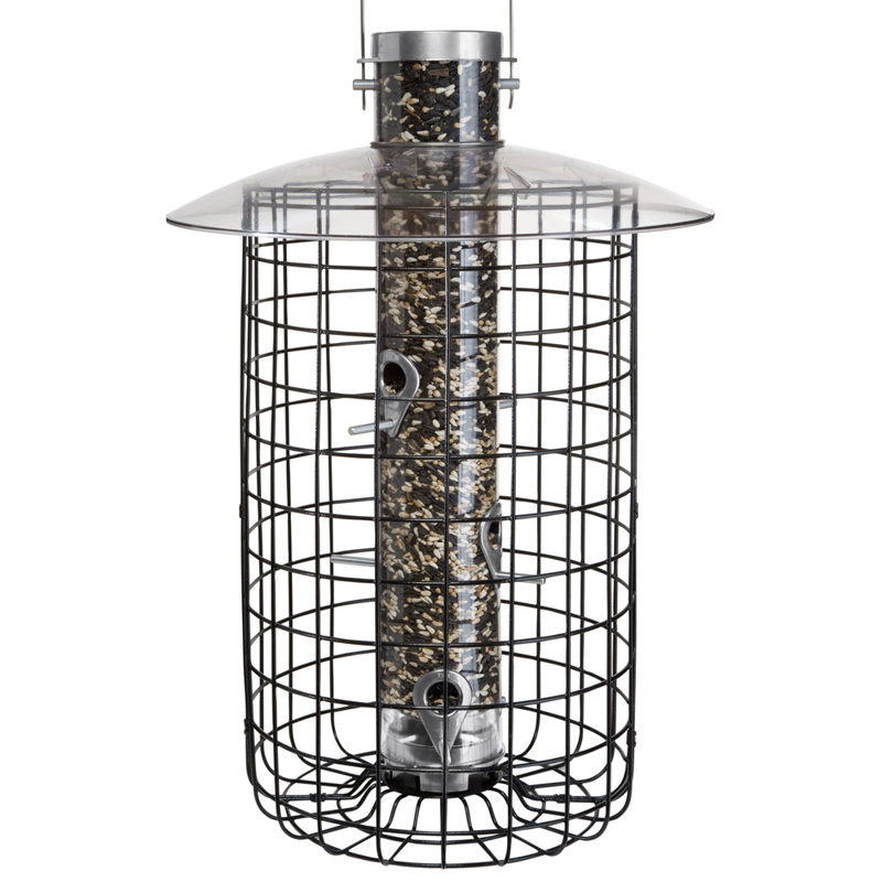 Droll Yankees B7 Domed Caged Sunflower Tube Bird Feeder Wayfair