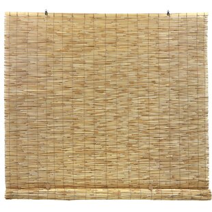 STYLE SELECTIONS Fruitwood 48"X72" Bamboo Roll-up Light Filtering Indoor Blind 