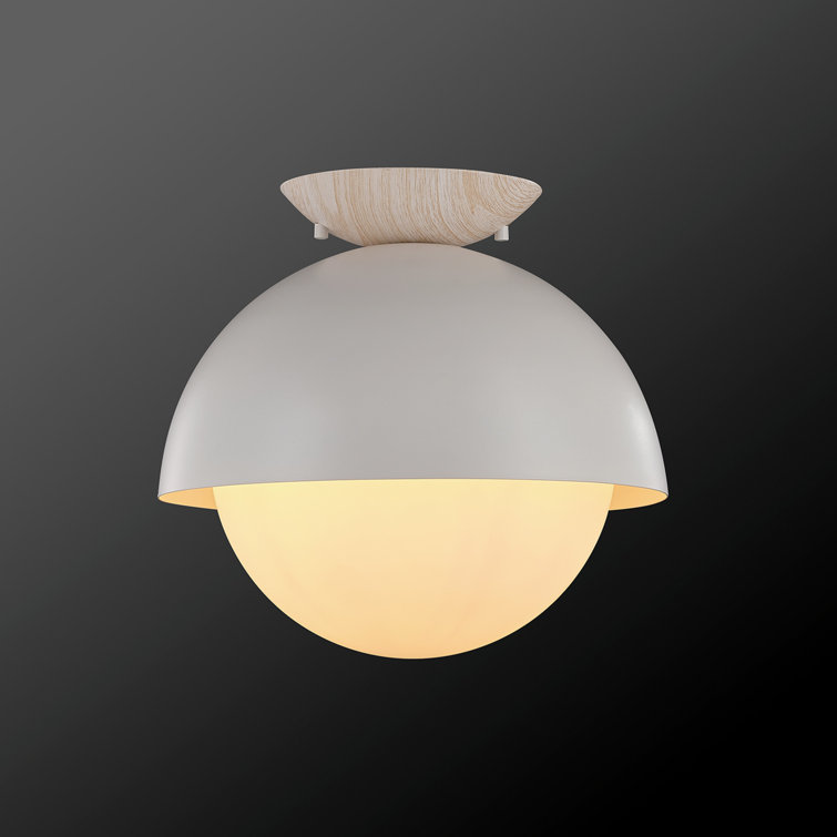 flush mount lighting globe