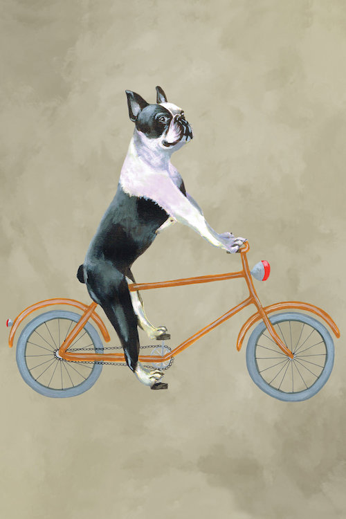 East Urban Home Boston Terrier On Bicycle Painting Print On