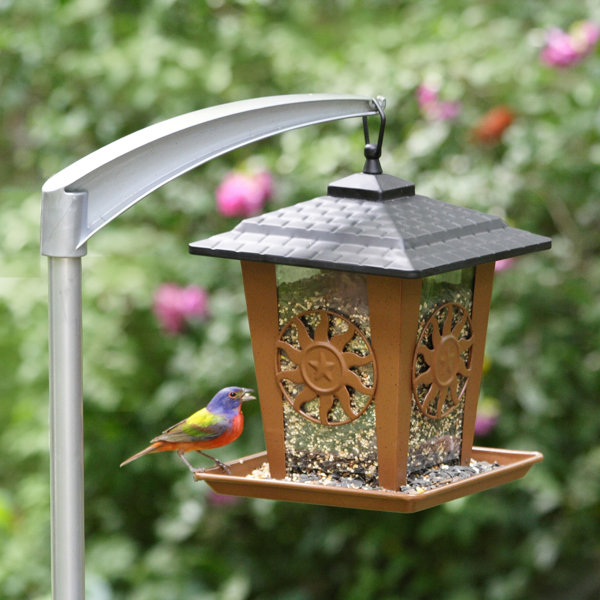 Bird Feeder Deck Pole Wayfair