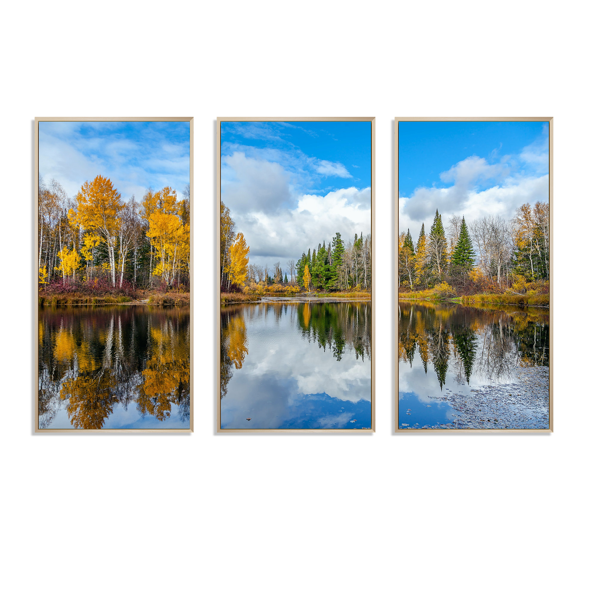 Millwood Pines Nice Autumn Trees With Forest Lake Nice Autumn Trees ...