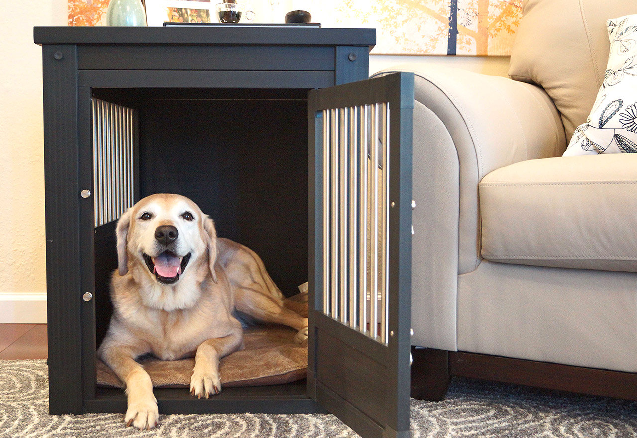 [BIG SALE] Pet Enclosures for Every Space You’ll Love In 2022 Wayfair