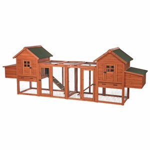 Duplex Chicken Coop with Outdoor Run