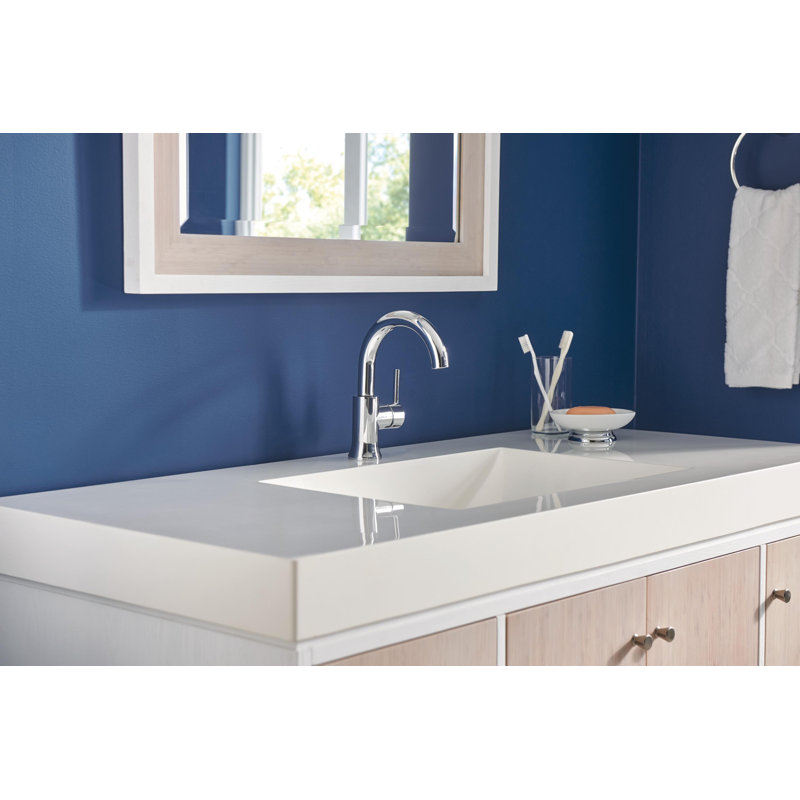 Trinsic Single Hole Bathroom Faucet With Drain Assembly And
