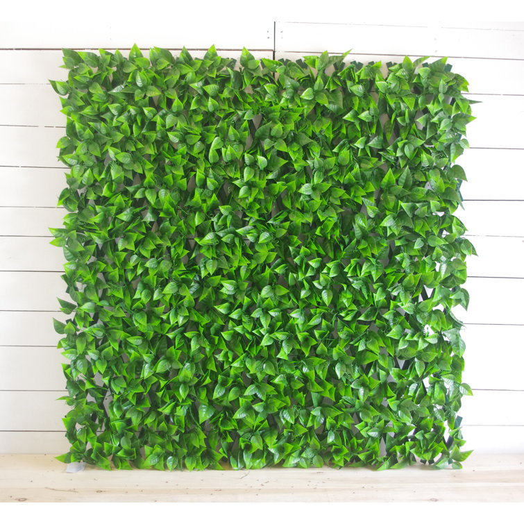 Primrue 3 5 Ft H X 6 5 Ft W Accordion Expandable Privacy Screen Reviews Wayfair Primrue 3 5 Ft H X 6 5 Ft W Accordion Expandable Privacy Screen Reviews Wayfair