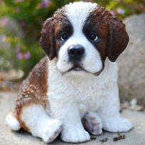 st bernard items