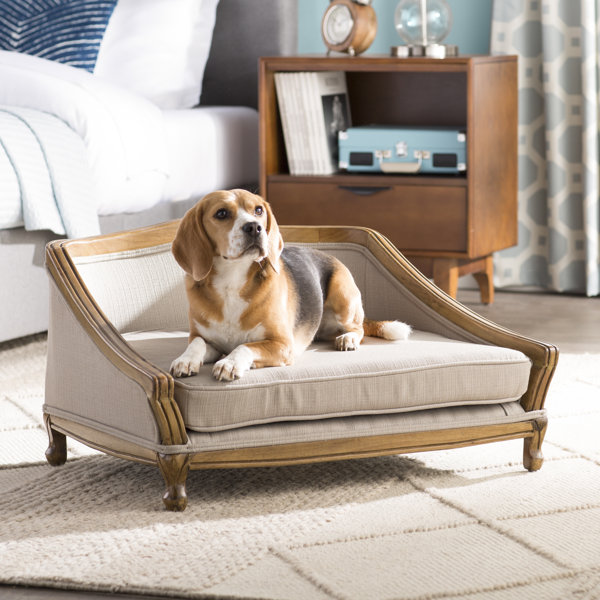 Archie Oscar Anita Sophisticated Decorative Dog Sofa With Arched Wood Frame Reviews