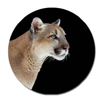 DecorumBY 'Puma Profile' - Photograph 