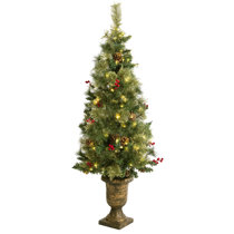 Wayfair Potted Christmas Trees You Ll Love In 2021