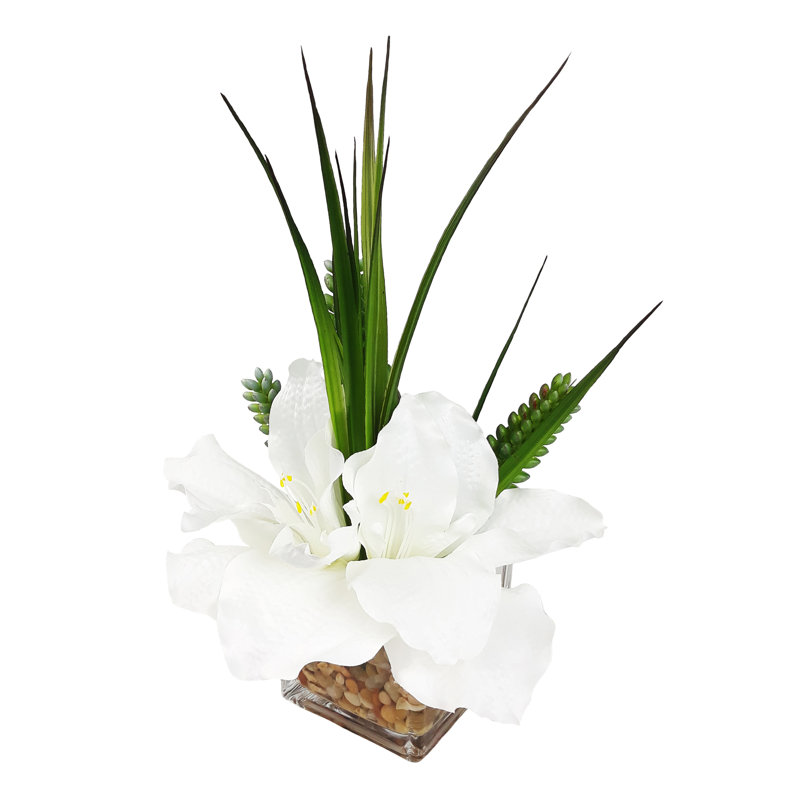 Bloomsbury Market Cattleya Cube Orchid Floral Arrangement ...