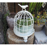 Decorative Bird Houses Cages Wayfair Ca