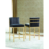 Marmolejo Counter & Bar Stool (Set of 2) by Everly Quinn