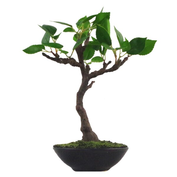 Artificial Bonsai Tree Wayfair Co Uk