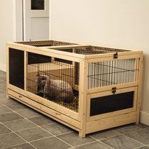 large bunny cage