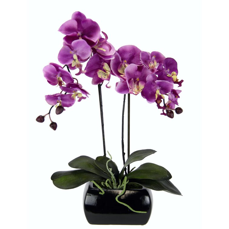 The Seasonal Aisle Kunstblume Orchidee im Topf & Reviews | Wayfair.co.uk