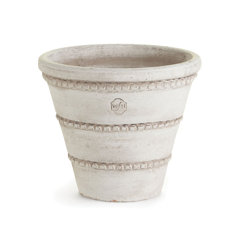 Napa Home & Garden Bells of Ireland 46 Bundle/3 Napa Home & Garden Bells of Ireland 46 Bundle/3