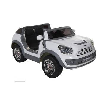 mini beachcomber charger