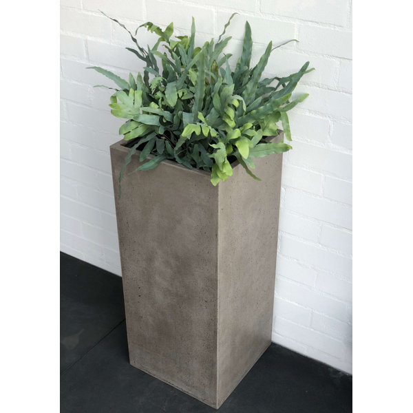 Freeport Park Blumentopf Braud Aus Beton Wayfair De