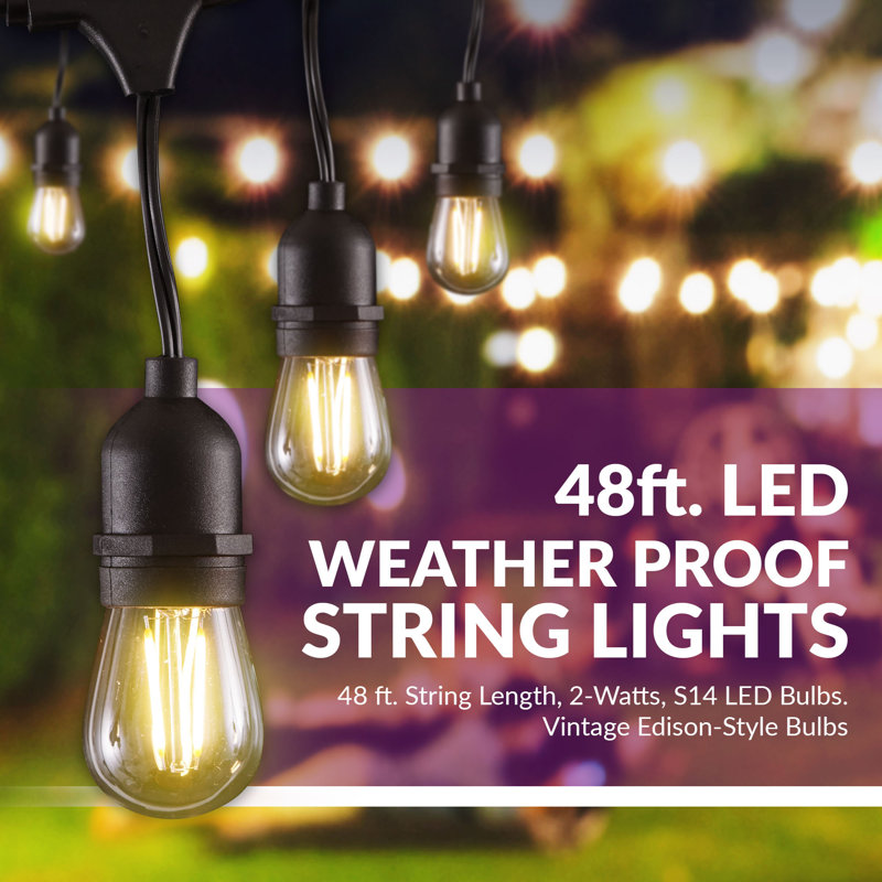 Wayfair Basics 48 Outdoor 15 Bulb Standard String Light