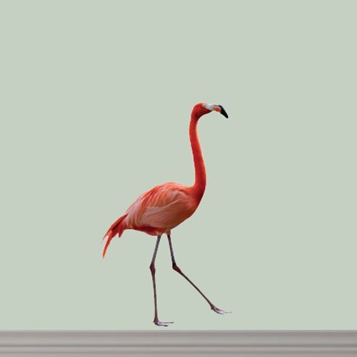 Isabelle Max Real Life Flamingo Wall Decal Wayfair