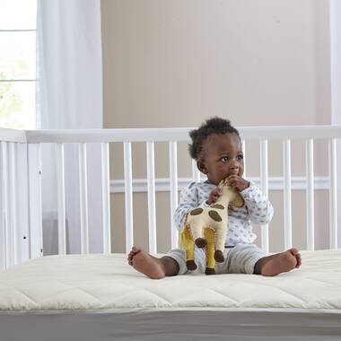 modera crib mattress