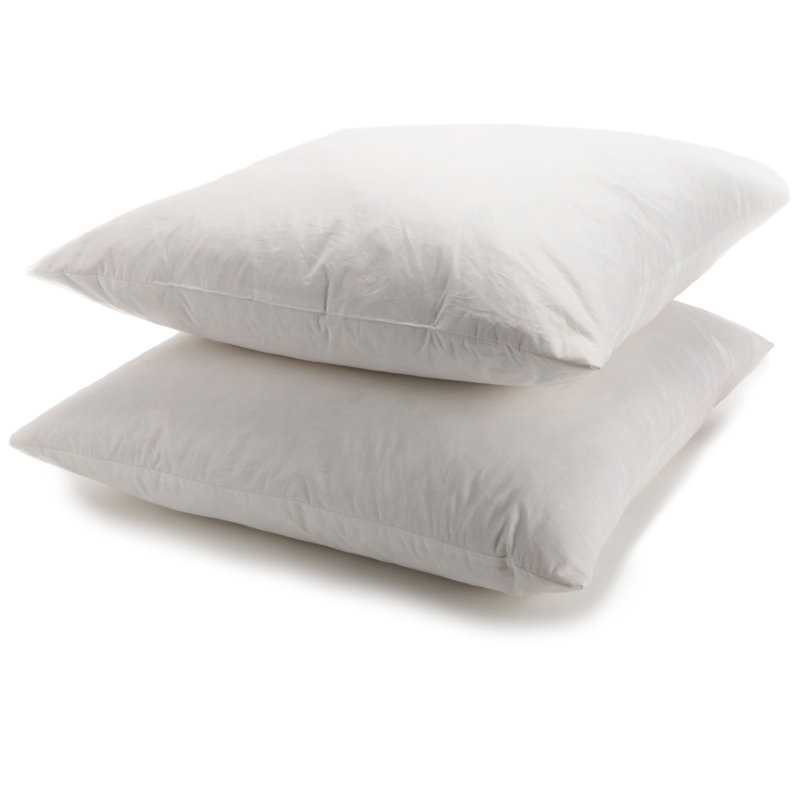Alwyn Home Ottilie Down Feather Cotton Euro Pillow Reviews Wayfair