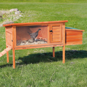 One-Story Chicken Coop/House with Exterior Ramp