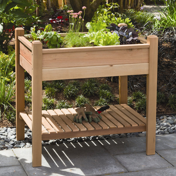 Phat Tommy 3 ft x 2 ft Cedar Raised Garden