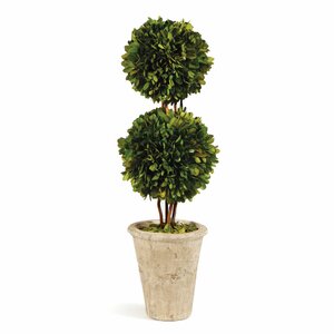 Preserved Boxwood Double Ball Topiary in Pot